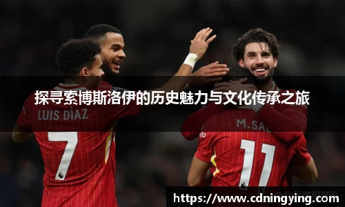 探寻索博斯洛伊的历史魅力与文化传承之旅
